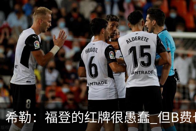 希勒：福登的红牌很愚蠢 但B费也应该被红牌罚下，如果罚就都得罚